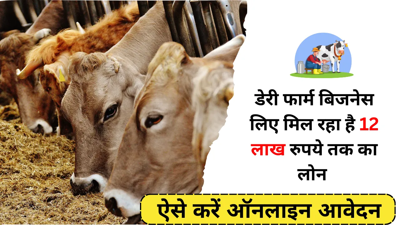 Dairy Farm Loan online Apply 2024